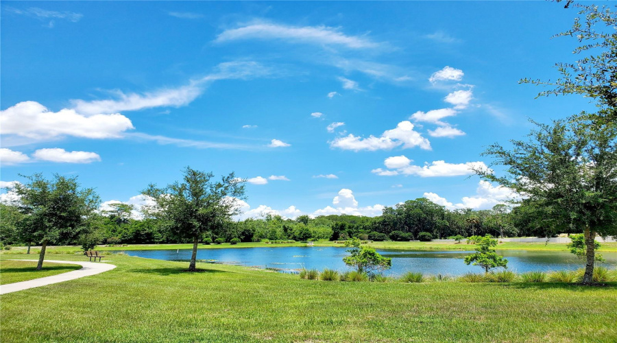 Water View