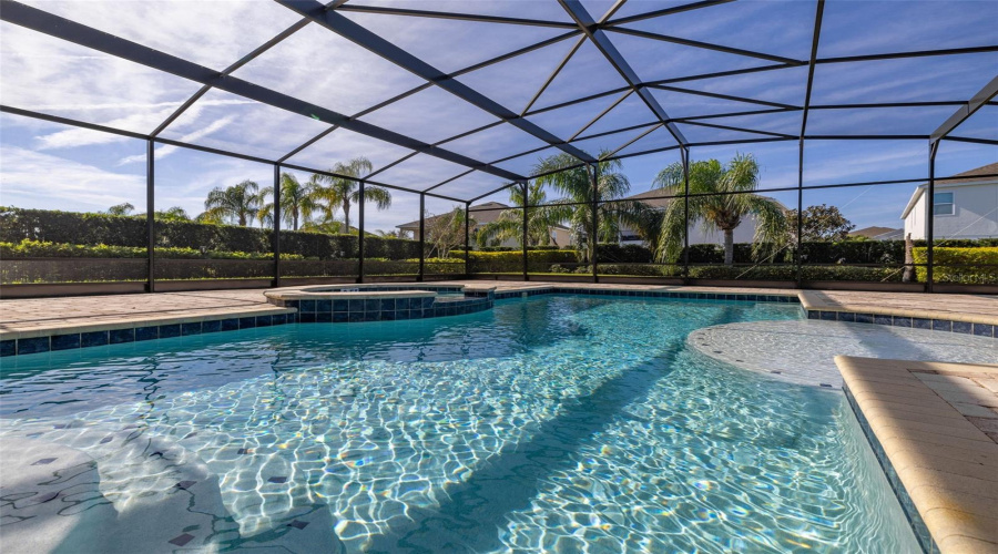 Extended Paved Pool Deck With Cage