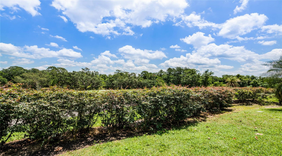 REUNION, Florida 34747, 5 Bedrooms Bedrooms, ,5 BathroomsBathrooms,Residential,For Sale,EXCITEMENT,0,MFRO6206887