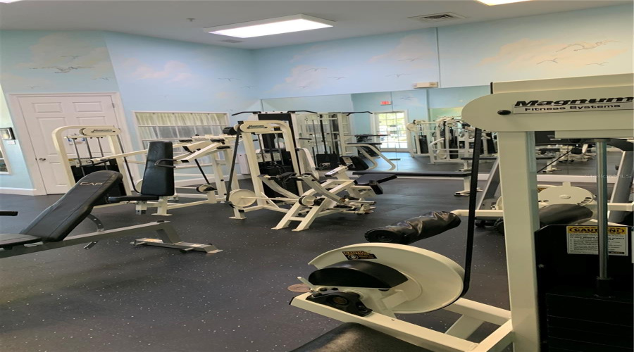 Fitness