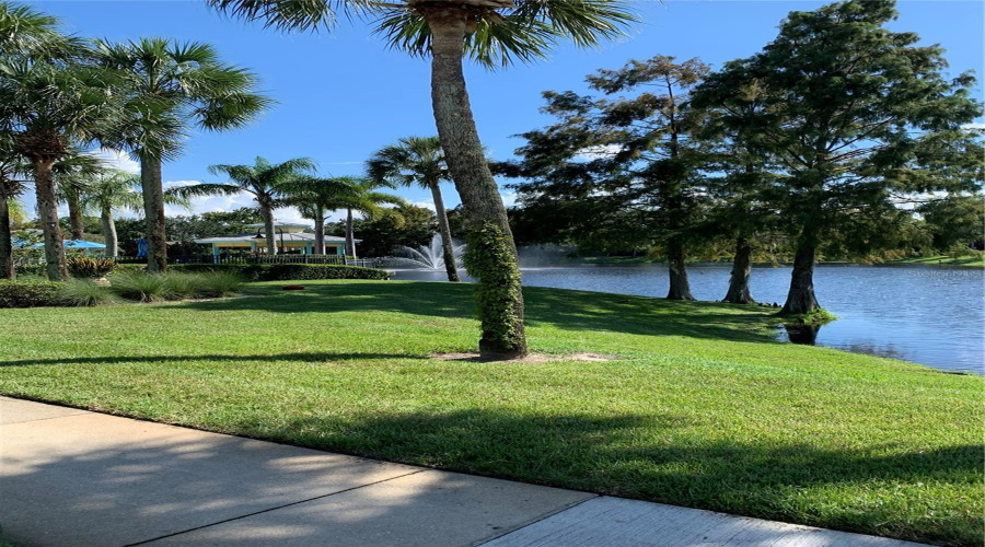 Water View