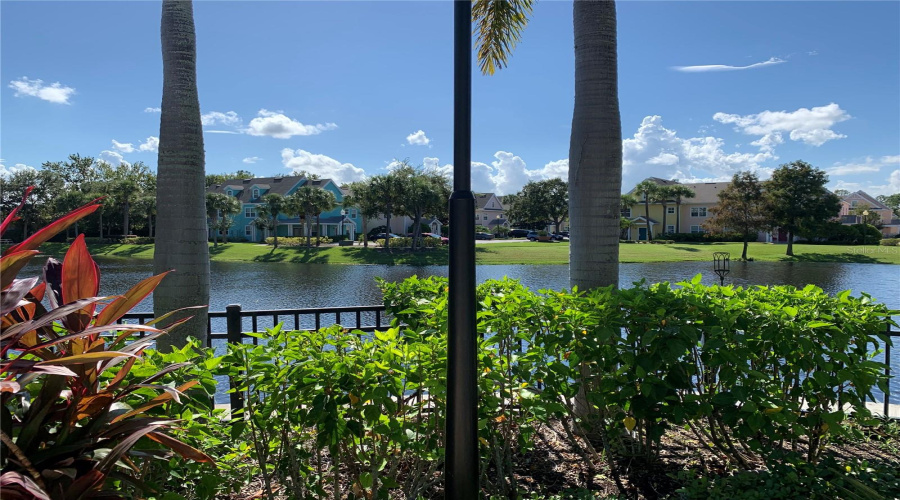 Beautiful Property