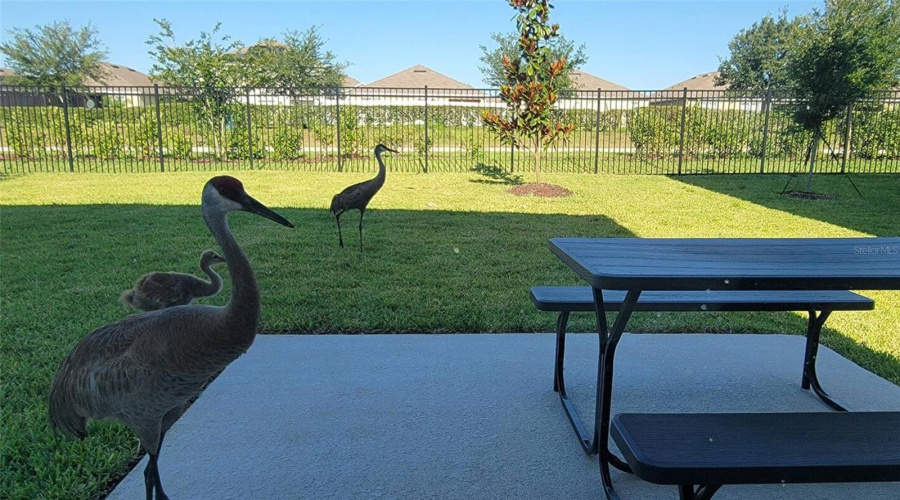 DAVENPORT, Florida 33896, 5 Bedrooms Bedrooms, ,4 BathroomsBathrooms,Residential,For Sale,DERWENT,MFRO6270251
