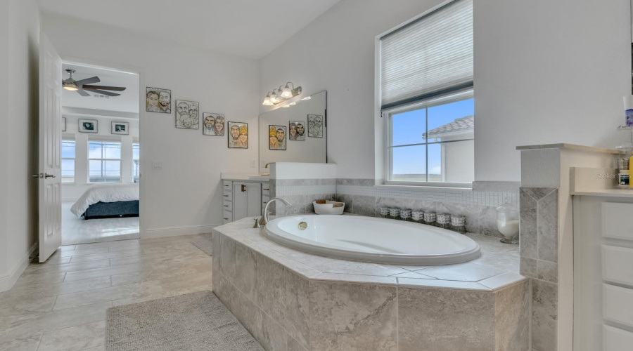 Master bathroom tub