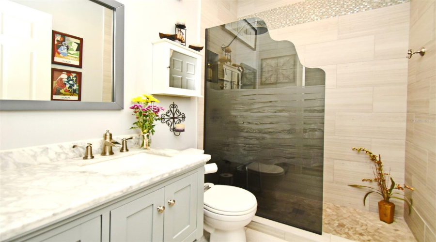 Guest Bathroom