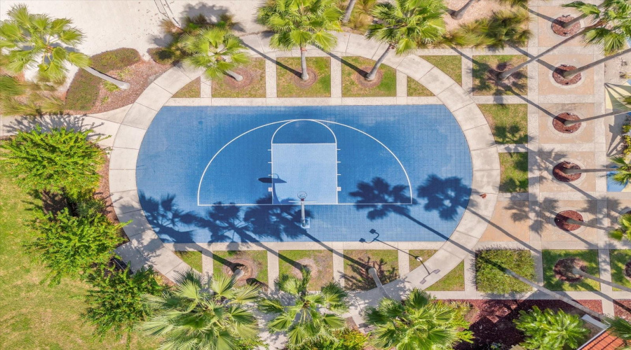 Basketball Court