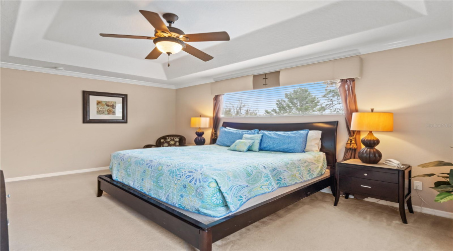 Primary Bedroom With Tray Ceilings