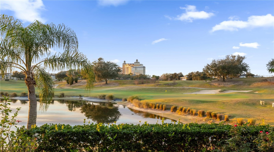 Golf Views