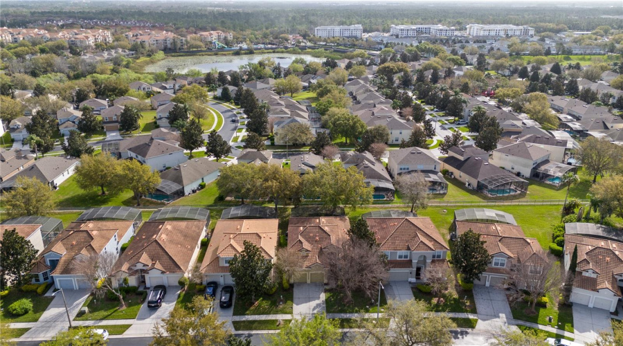 Bird view