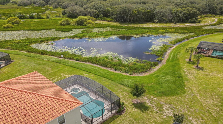 DAVENPORT, Florida 33837, 12 Bedrooms Bedrooms, ,11 BathroomsBathrooms,Residential,For Sale,BROAD OAK,0,MFRS5119019