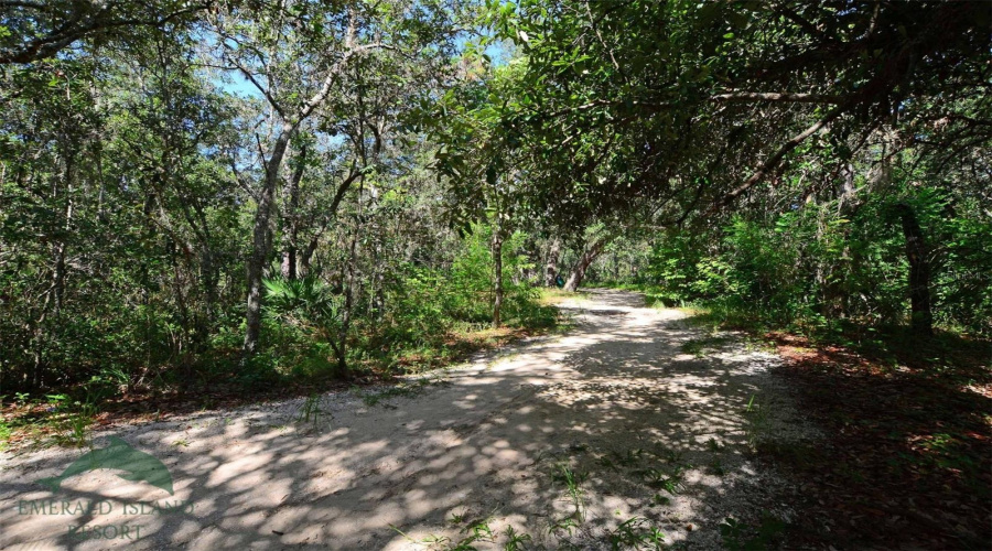 Nature Walk Trail