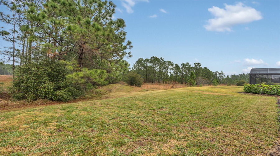 Davenport, Florida 33837, 5 Bedrooms Bedrooms, ,4 Bathroomsbathrooms,Residential,For Sale,Yellow Snapdragon,Mfro6268157