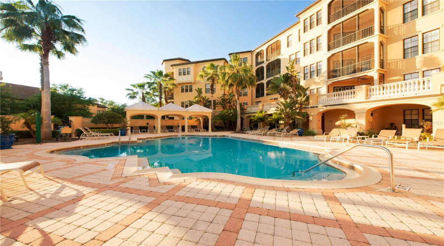 Amazing Pool View