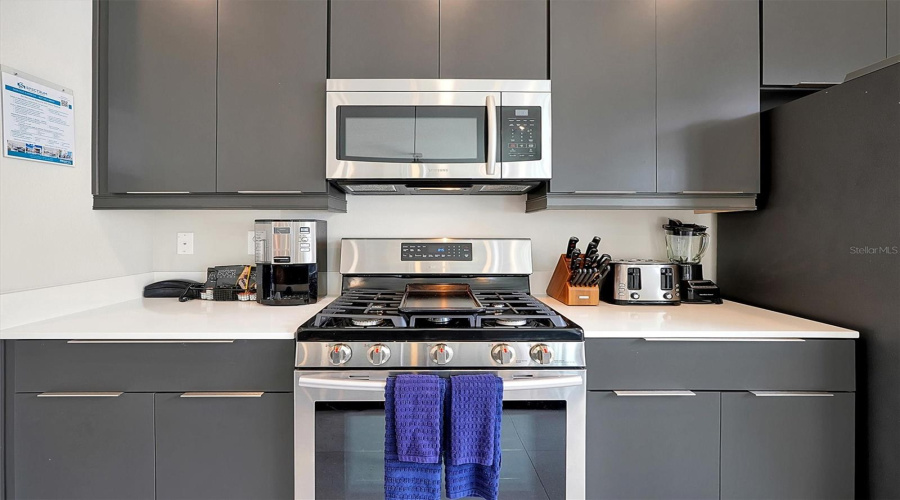 REUNION, Florida 34747, 3 Bedrooms Bedrooms, ,2 BathroomsBathrooms,Residential,For Sale,SANDY RIDGE,0,MFRO6265175