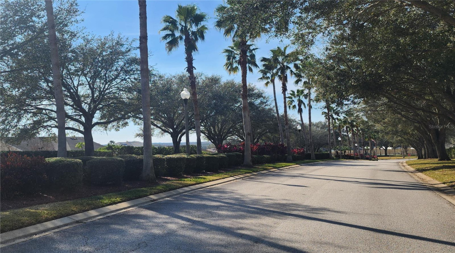 DAVENPORT, Florida 33897, 4 Bedrooms Bedrooms, ,2 BathroomsBathrooms,Residential,For Sale,CORVINA,0,MFRP4933549