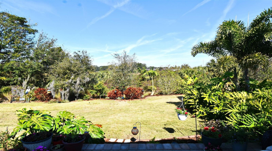 View from Patio on this Premium Lot