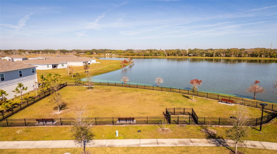 Pond View