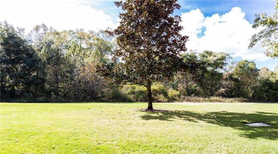REUNION, Florida 34747, 3 Bedrooms Bedrooms, ,3 BathroomsBathrooms,Residential,For Sale,WHISPER,0,MFRS5120444