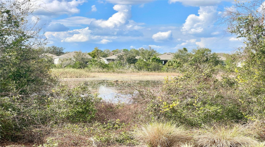 Natural Reserve Area In Your Own Back Yard! Say Hello To Your New Friends, Heron's Love It Here, You Can Here Owls At Night And See Eagles By Day!