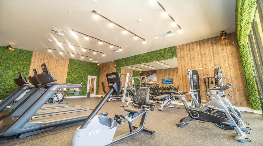 Fitness