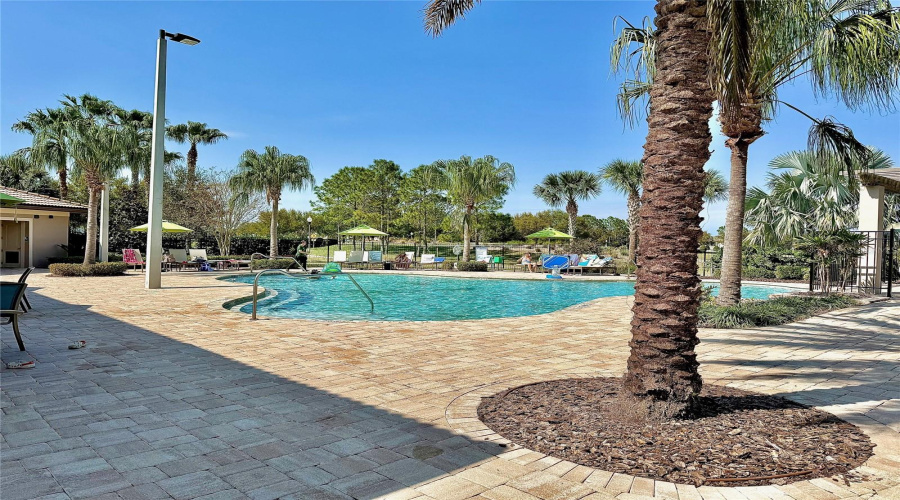 The Plaza Pool. Exclusive to Residents