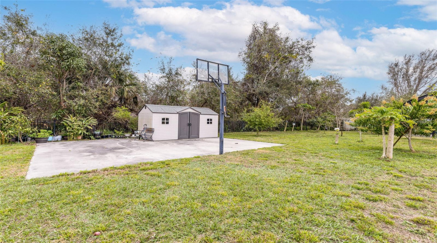 Shed On Paved Cement Court