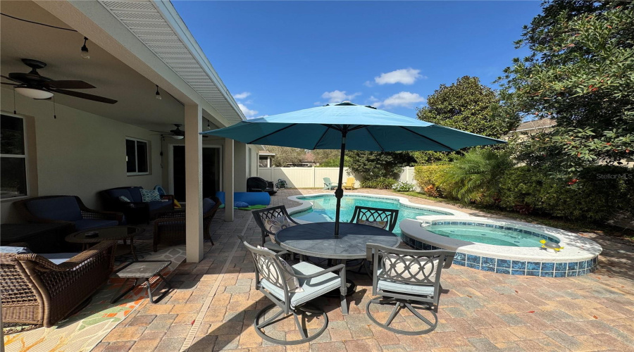 Fenced Backyard, Patio, Pool, And Spa