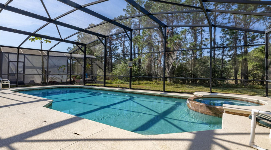 Large pool and spa