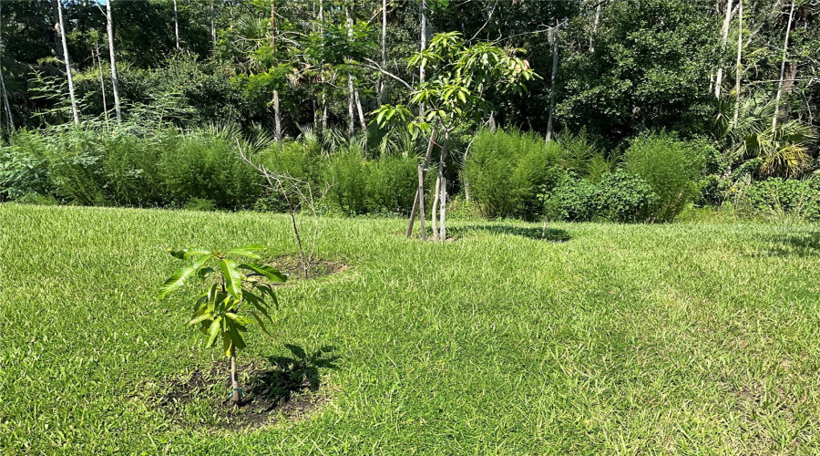 KISSIMMEE, Florida 34746, 3 Bedrooms Bedrooms, ,2 BathroomsBathrooms,Residential,For Sale,ROYAL POINT,0,MFRO6280136