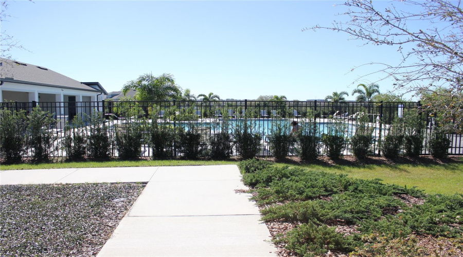 Pool 1