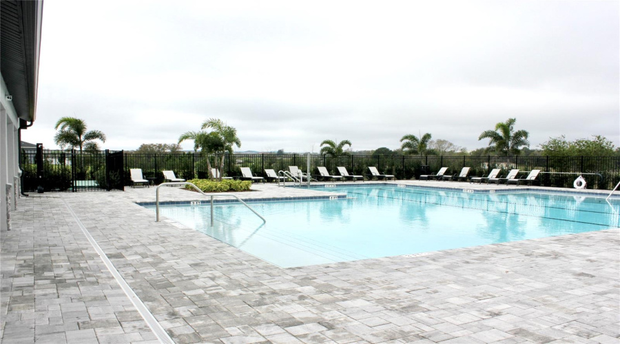Pool 8
