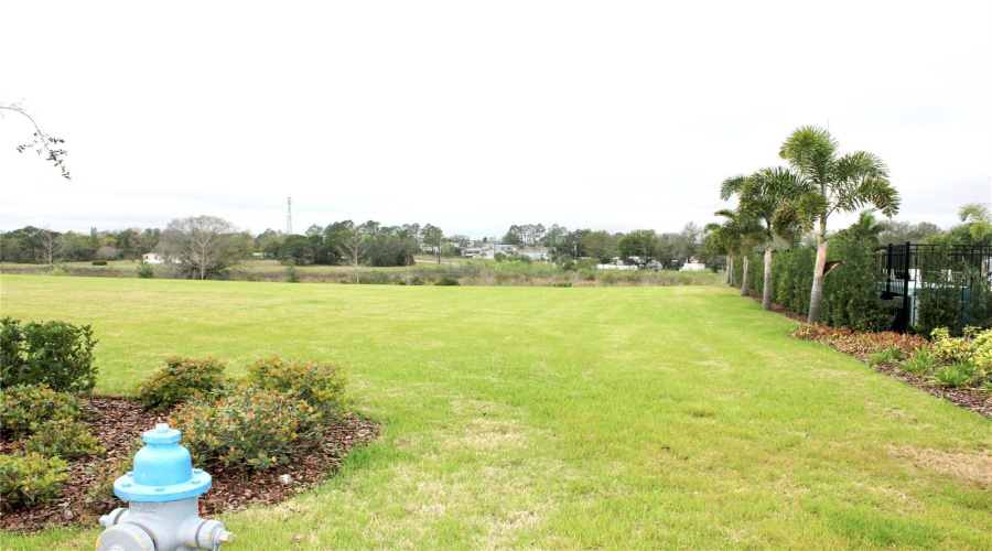 Picnic Park 1