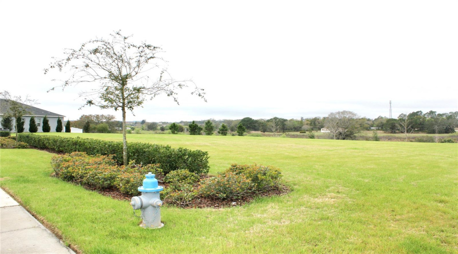 Picnic Park 2