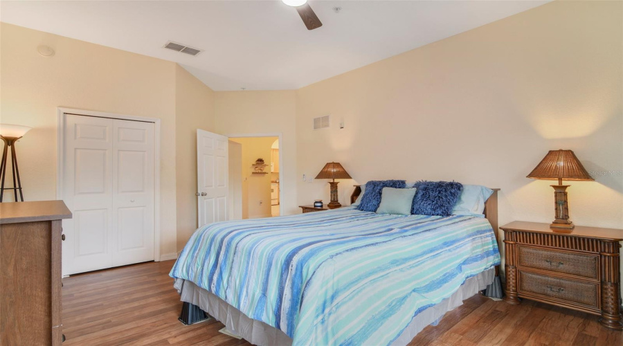 Primary Bedroom looking toward Large Walk-in Closset and Entry Door