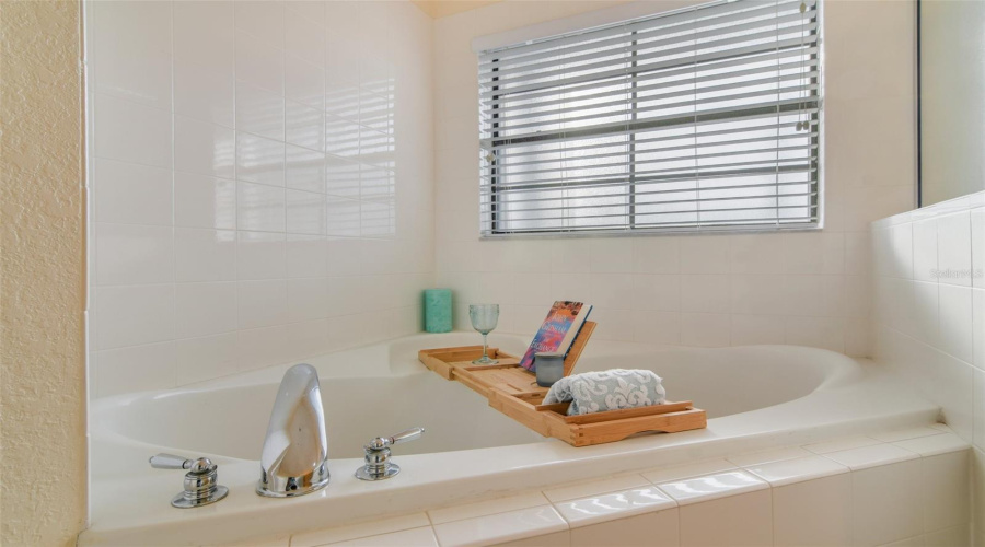 Primary Bath Garden Tub