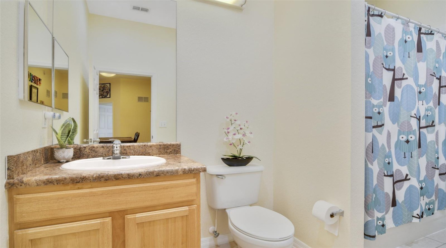 Guest Bathroom with Tub and Shower Combo