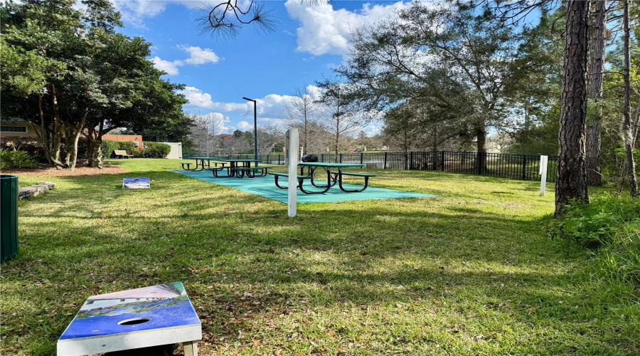 Picnic Area and Cornhole