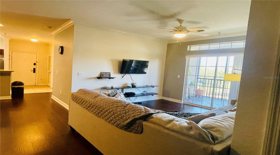 Living area / Family room