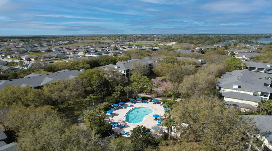 Pool Amenities