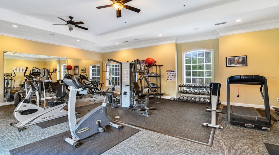 Amenities - GYM