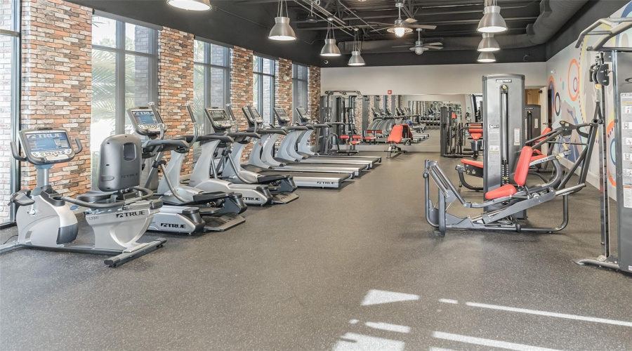 Gym