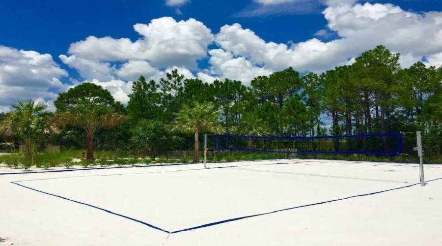 Volleyball