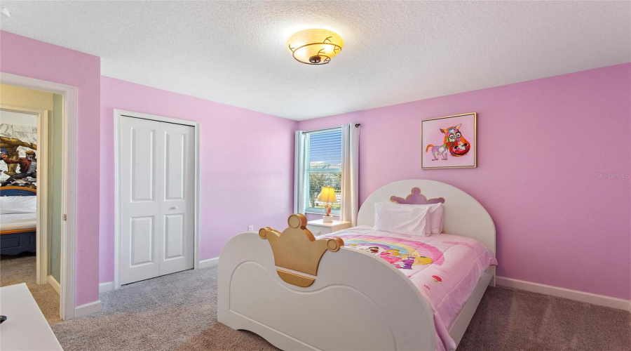 Cinderella Theme Room