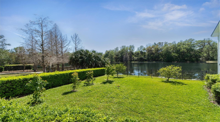 Fenced Backyard On The Water