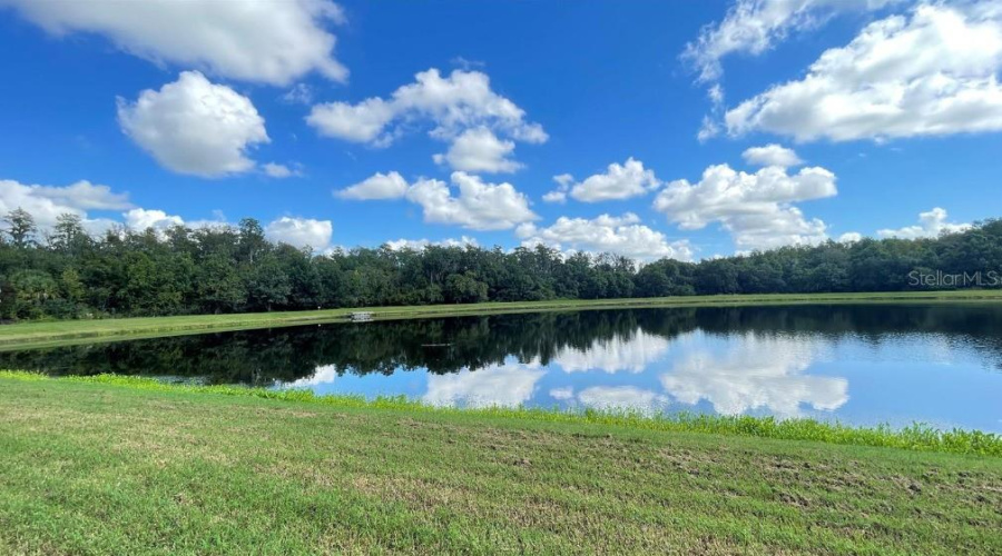 Kissimmee, Florida 34746, 4 Bedrooms Bedrooms, ,3 Bathroomsbathrooms,Residential,For Sale,Cumbrian Lakes,Mfrs5111363