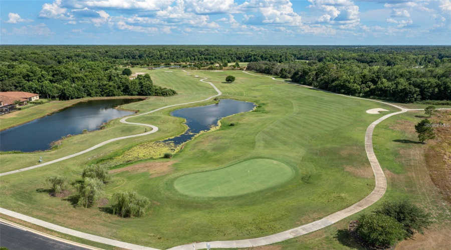 18Th Green