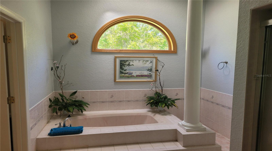 Kissimmee, Florida 34746, 5 Bedrooms Bedrooms, ,3 Bathroomsbathrooms,Residential,For Sale,Appaloosa,Mfro6289250