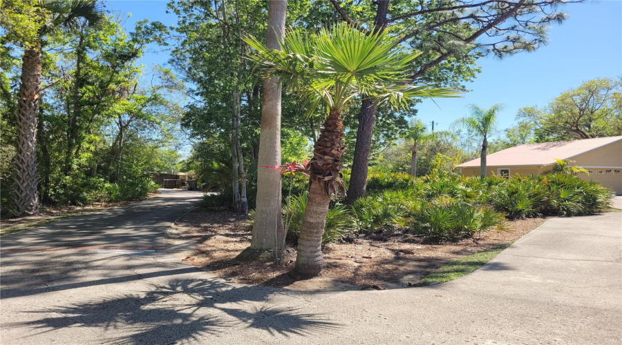 Kissimmee, Florida 34746, 5 Bedrooms Bedrooms, ,3 Bathroomsbathrooms,Residential,For Sale,Appaloosa,Mfro6289250