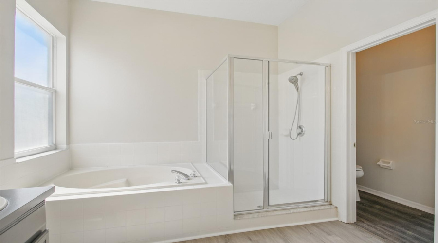 Kissimmee, Florida 34746, 4 Bedrooms Bedrooms, ,3 Bathroomsbathrooms,Residential,For Sale,Great Harbor,Mfrs5122383