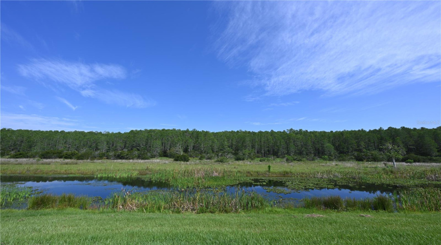 KISSIMMEE, Florida 34746, 8 Bedrooms Bedrooms, ,5 BathroomsBathrooms,Residential,For Sale,PENELOPE,0,MFRTB8355175